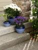 Duo Blue Tone Planter Trio