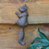 Climbing Squirrel Wall Hook - Box Of 2