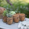 Wire Caddy With Six Miniature Terra Cotta Pots