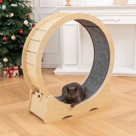 Cat Exercise Wheel,Ferris Cat Wheel Exerciser for Indoor Cats, Cat Treadmill Wheel with Carpeted Runway, One Fast Cat Exercise Wheel