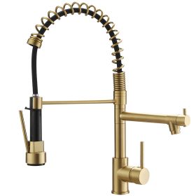 New Standard Single Handle kitchen faucet with pull-down kitchen faucet in Brushed Nickel (Color: Brushed Gold)